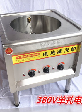 国毅燃气方管节能王蒸炉电蒸汽炉盘管波纹管煤气蒸汽炉肠粉机商用