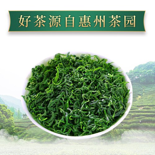 2026浓香惠州山茶绿茶新茶博罗柏塘山茶客家高山云雾绿茶手工春茶 - 图0