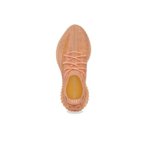 adidas originals Yeezy Boost 350 V2 