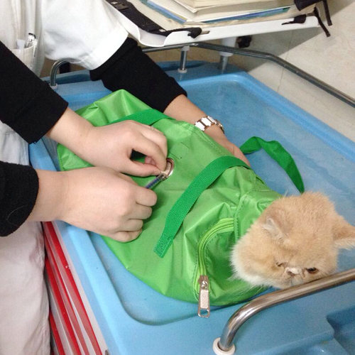 猫打针用固定包保定袋保定包掏耳朵输液剪指甲喂食防抓伤狗犬用品 - 图1