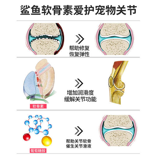 麦德氏鲨鱼软骨素狗狗关节宝泰迪金毛犬用宠物狗狗关节软骨素340g-图3