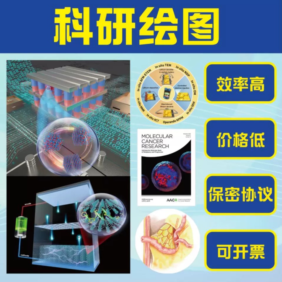 SCI科研绘图代画生物医学插图画图机制图流程图图形摘要封面美化 - 图0