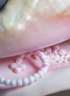 天然贝母手串粉白渐变