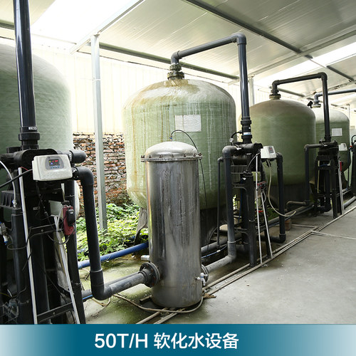 大型工业锅炉软水器软水机软化水处理设备过滤器净水器机水处理器 - 图2