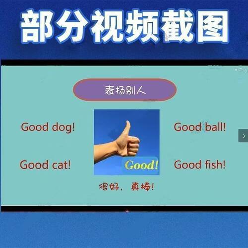 新概念英语青少版视频U盘零基础入门到精通自学课程网课视频优盘 - 图3