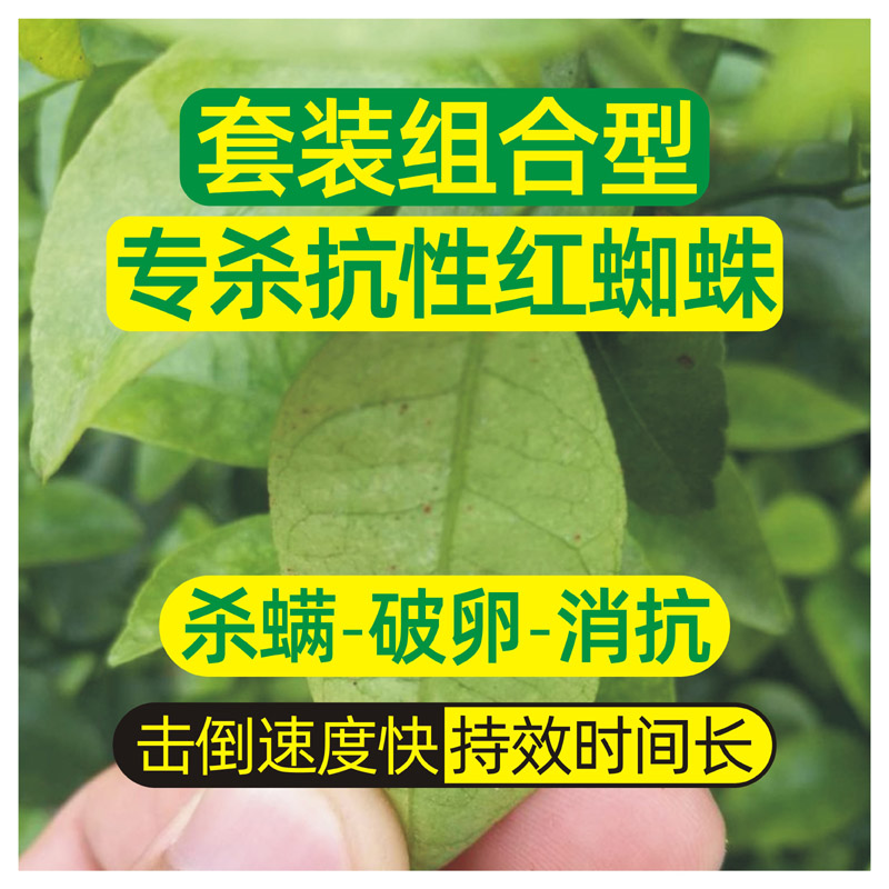 八隆植保丙溴磷阿维菌素螺螨酯柑橘红蜘蛛组合杀虫杀螨卵剂持效长 - 图0