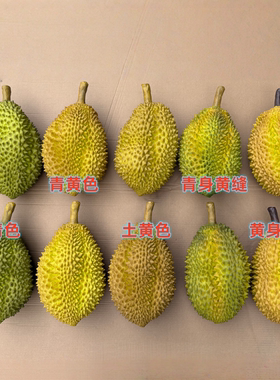 多颜色假榴莲模型水果店装饰摆件
