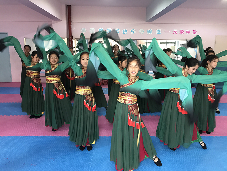 古典舞孙科踏春水袖国风女飘逸舞蹈服采薇落花情半壶纱演出服租赁 - 图1