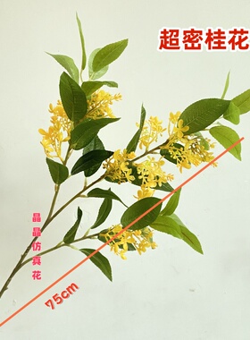 仿真桂花枝摄影装饰道具仿真花植物假花黄金桂千里香家居软装插花