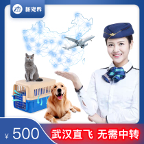 Wuhan Pet Consignment Pet Plane Consignment Pet Train Consignment Cat Dog Consignment Check-out Service