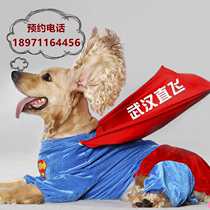 Wuhan Pet Consignment National Cat Pooch Air Transport Railway Special Car Random Accompanying Transport Service Charge D Affaires