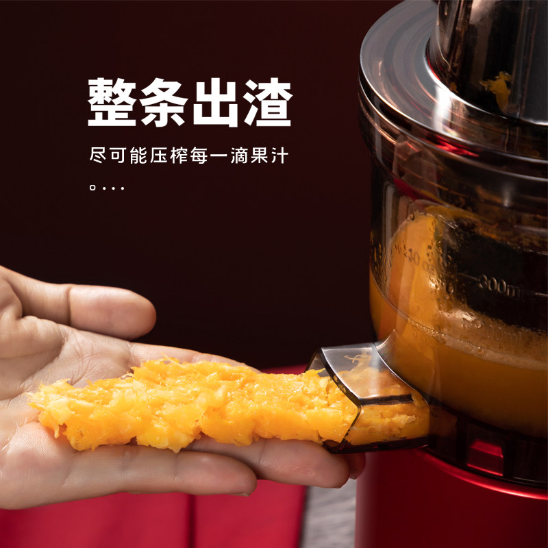 savtm狮威特榨汁机