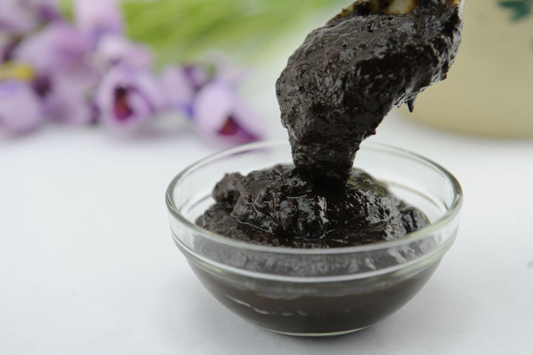 湖南武冈特产 武冈长青甜酱450克  炒血浆鸭子大味牛、羊肉调味品,淘宝优惠券,粉丝福利购,淘宝优惠卷