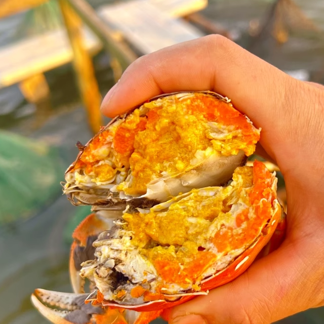 特大残蟹净重5-6两公螃蟹鲜活掉腿掉脚残次大闸蟹一只装-6只起拍,淘宝优惠券,粉丝福利购,淘宝优惠卷