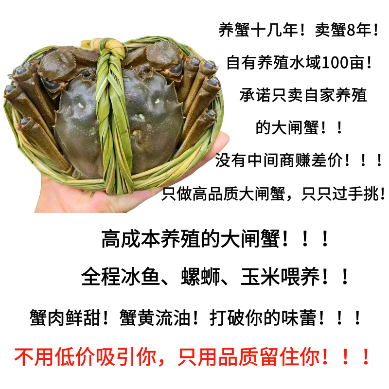 特大号残蟹鲜活大闸蟹断脚残次残疾蟹公4.5两母3.5两6只顺丰包邮,淘宝优惠券,粉丝福利购,淘宝优惠卷