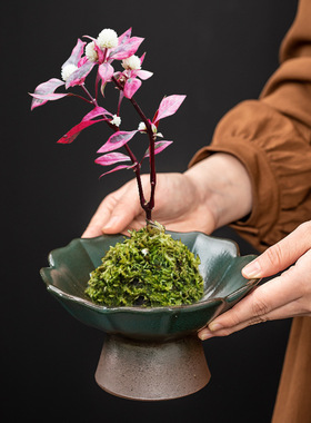 仿古复古室内室外创意盆景异形花盆小号特大号紫砂陶瓷绿植物台桌
