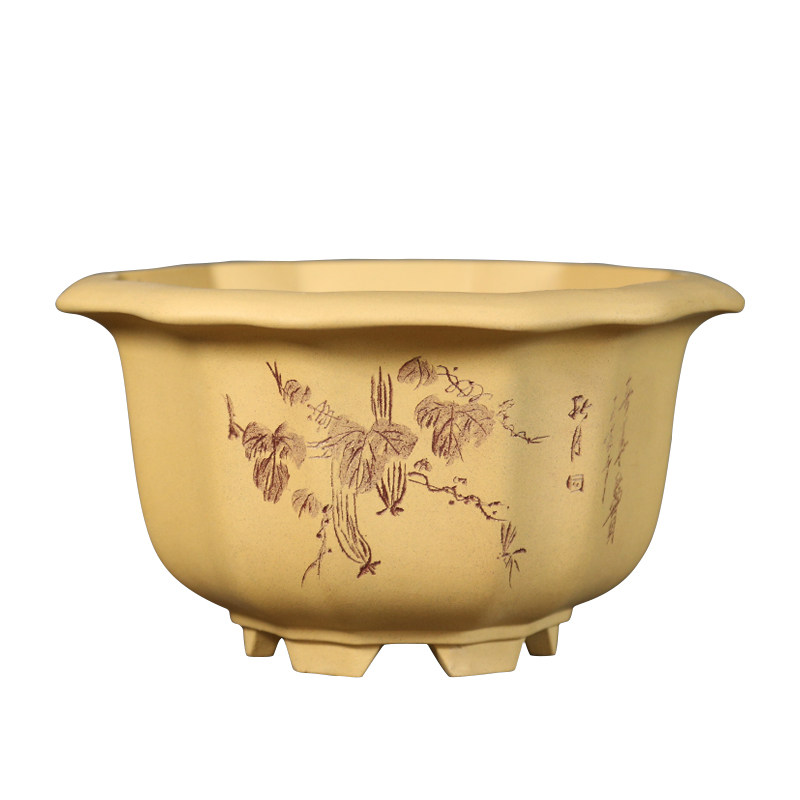 宜兴紫砂陶瓷造型花卉绿植园艺盆景盆仿古葵式树桩盆兰花花盆,淘宝优惠券,粉丝福利购,淘宝优惠卷