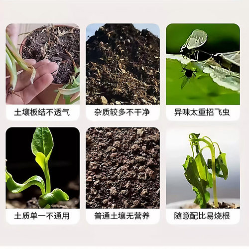 幸福树专用土料盆栽绿宝树土壤复合营养土种植肥有机肥花卉土家用 - 图2
