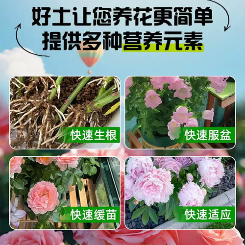 幸福树专用土料盆栽绿宝树土壤复合营养土种植肥有机肥花卉土家用 - 图0