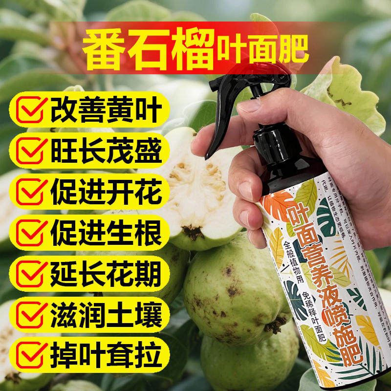 番石榴树专用肥料盆栽种植果树营养液旺长生根发芽促长新叶面肥料,淘宝优惠券,粉丝福利购,淘宝优惠卷