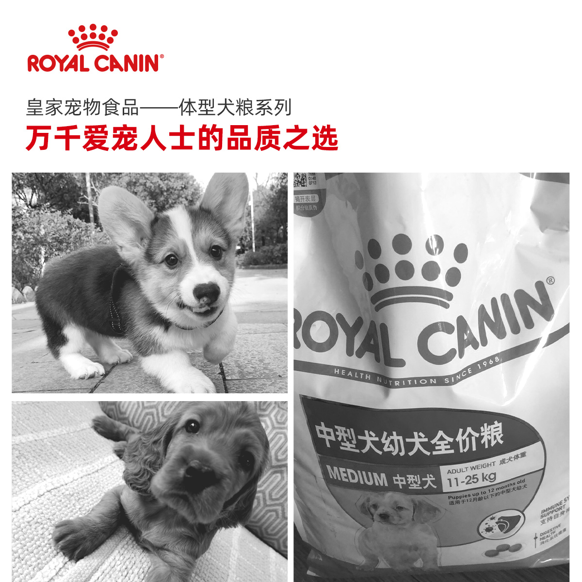 皇家奶糕幼犬狗粮法斗金毛通用幼型犬狗粮皇家狗粮官方旗舰店-图2