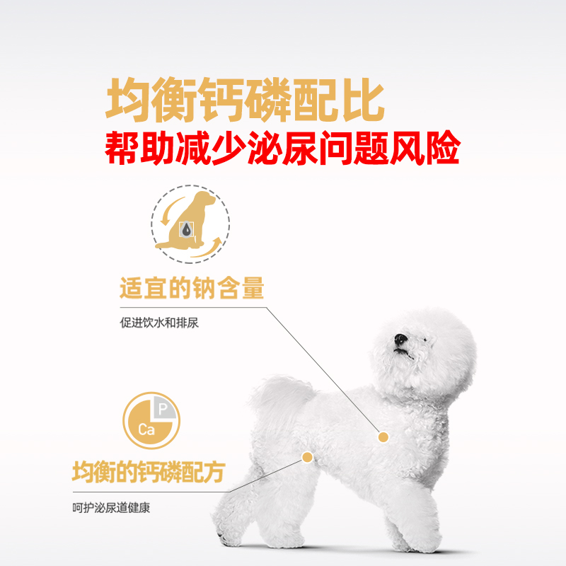 皇家狗粮比熊专用狗粮 小型犬成犬犬粮BF29 均衡营养呵护泌尿健康 - 图1