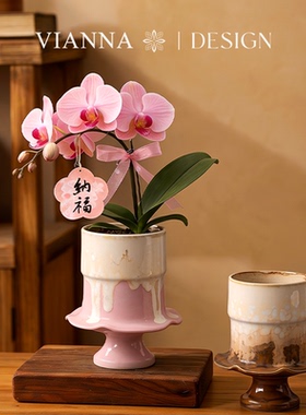 VIANNA奶雾陶瓷手作带孔花盆摆件