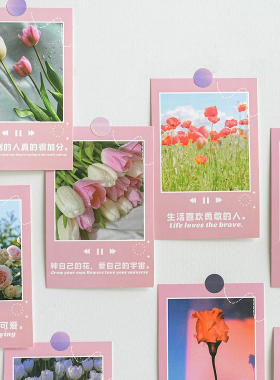 粉色郁金香卡片墙贴浪漫花朵贴画