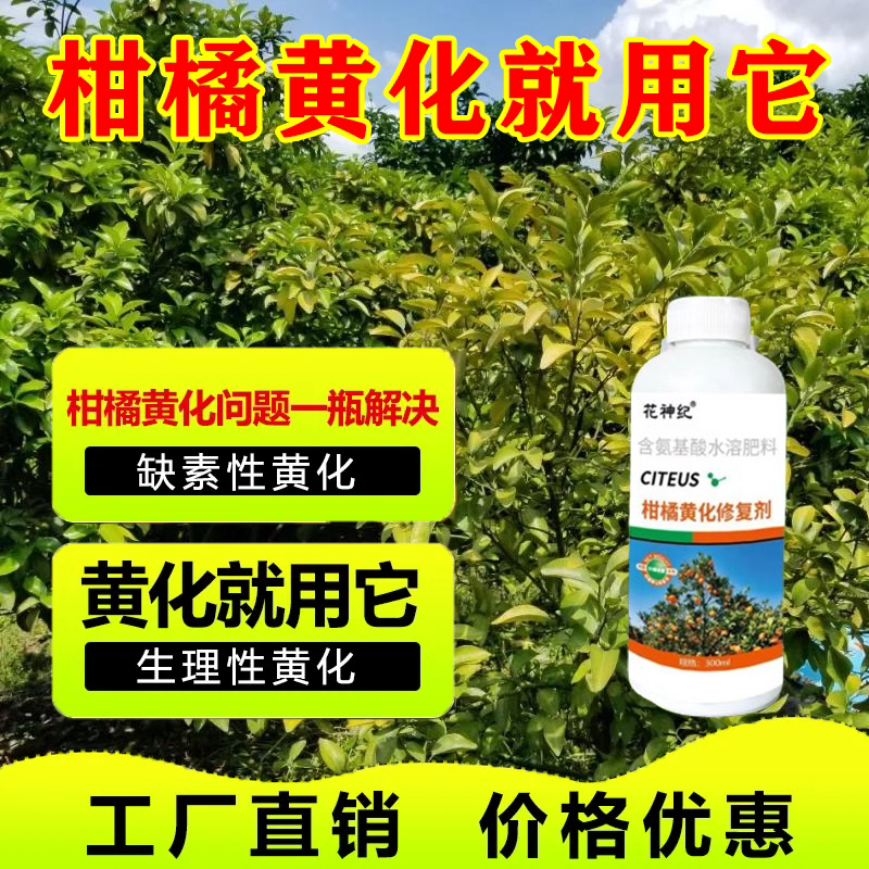 【果树黄化】黄化病专用肥黄叶卷叶黄斑黄龙病果树橙柑橘桔树通用