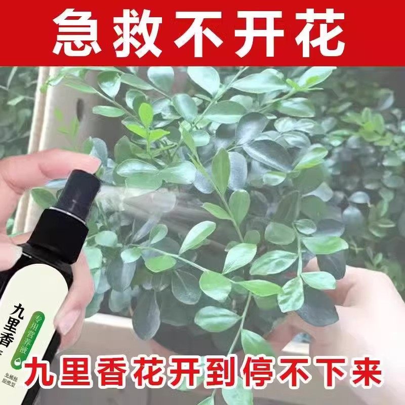 【专治不开花】九里香营养液防卷叶黄叶不开花促花苞专用肥营养液,淘宝优惠券,粉丝福利购,淘宝优惠卷