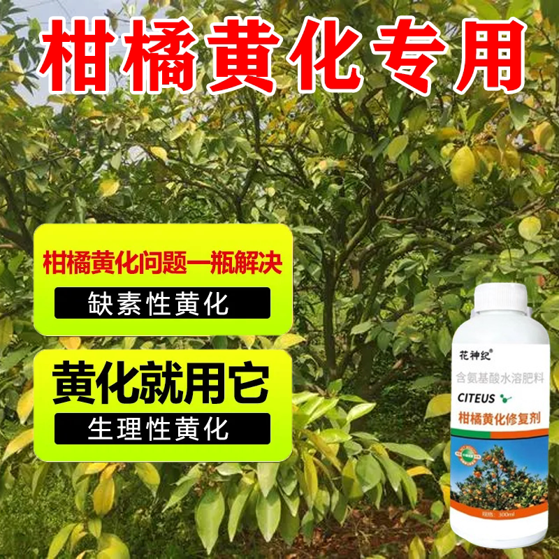 【果树黄化】黄化病专用肥黄叶卷叶黄斑黄龙病果树橙柑橘桔树通用