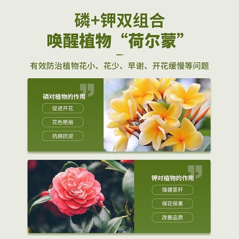 三角梅催花开花粉促芽剂光杆快速发芽治黄叶落叶枯萎壮根助长肥料,淘宝优惠券,粉丝福利购,淘宝优惠卷