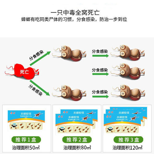 厚生蟑螂药家用室内外官方正品杀虫剂厨房餐厅饭店虫卵双杀蟑螂屋 - 图2