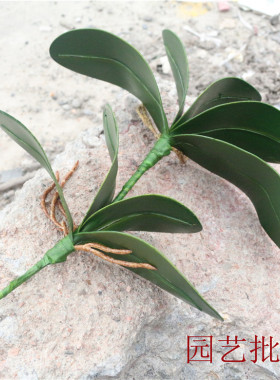 仿真花泡沫绿色植物蝴蝶兰