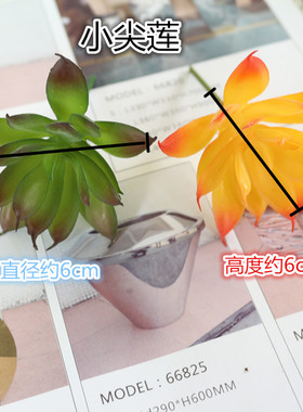 多肉手工微景观绿植摆件组合盆栽