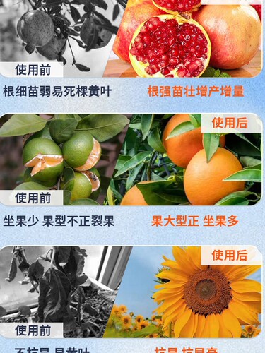 桶肥冲施肥氨基酸海藻酸甲壳素膨果着色生根膨果壮苗肥 - 图3