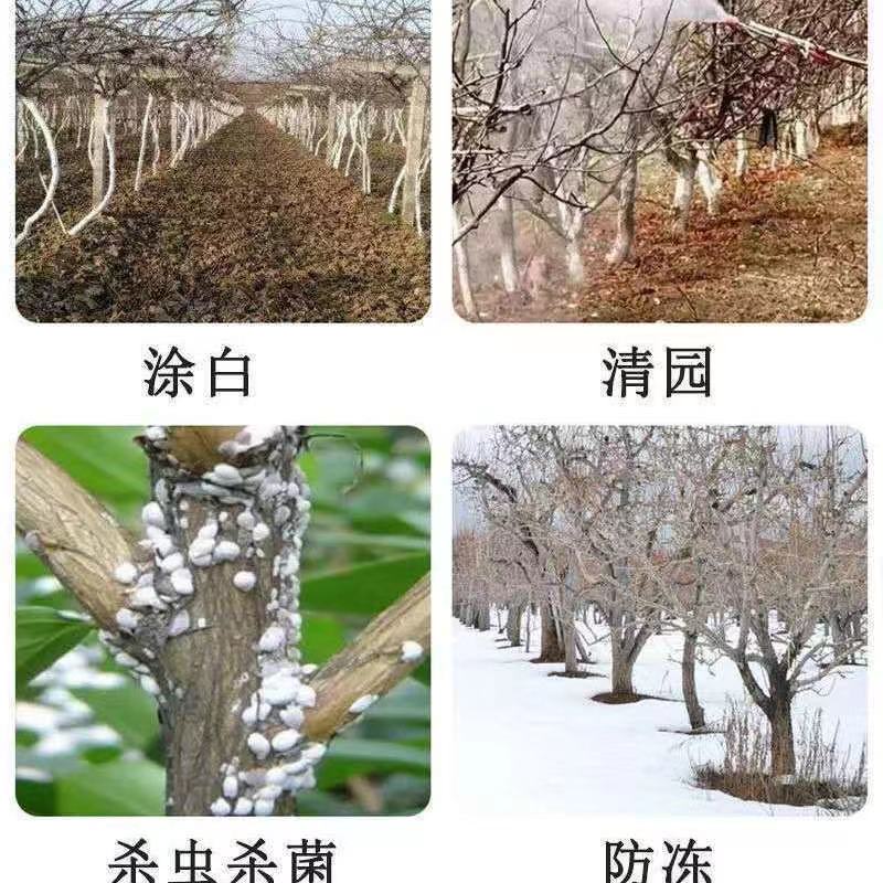 29%石硫合剂水剂果树大棚清园剂白粉病蚧壳虫红蜘蛛农药树干涂白