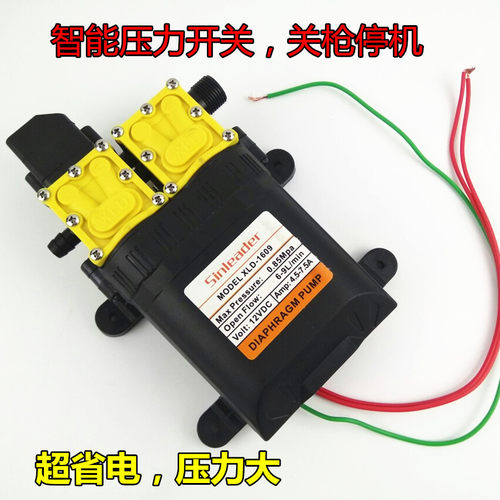 大功率12V双核动力水泵 农用电动喷雾器改装双泵高压 打药洗车 - 图0
