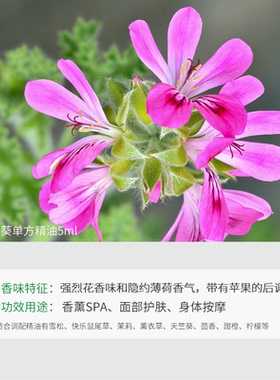 进口法国天竺葵5ml香薰单方精油