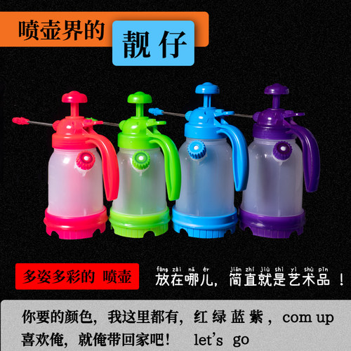 喷壶压力喷水壶园艺植物浇花喷雾打药除尘消毒 带刻度 微型家园艺 - 图3
