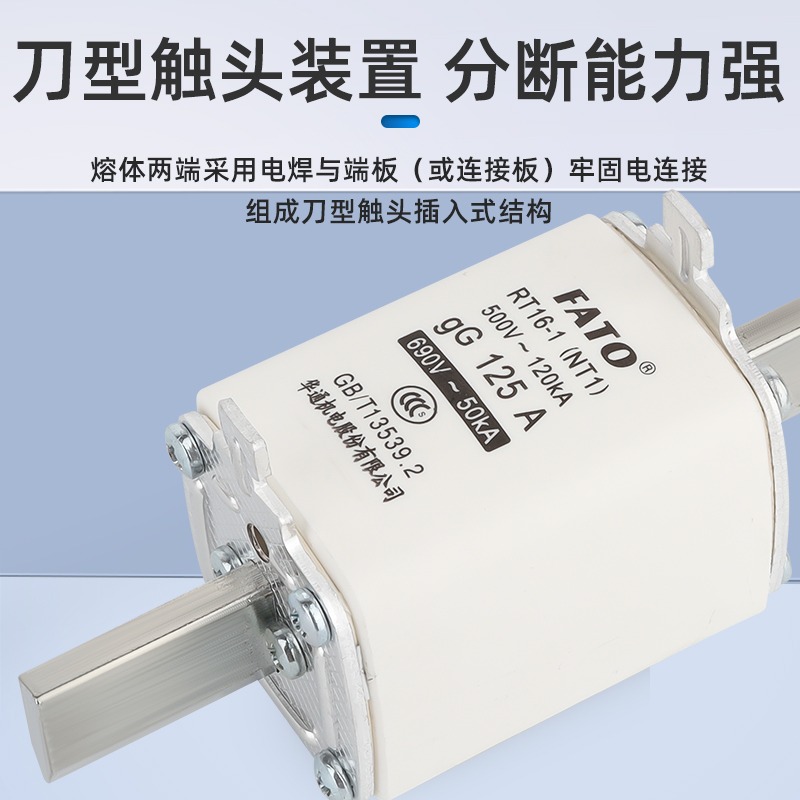 华通RT16-00熔断体NT00熔芯保险丝RT16-2 63A100A125A160A RT16-1 - 图1