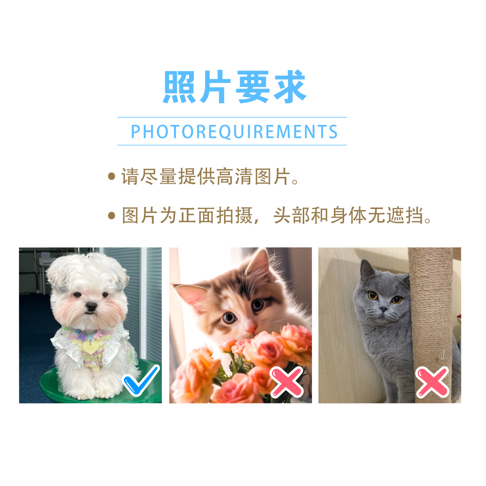 猫咪宠物桌面摇头摆件定制情绪稳定治愈系工位小摆件摇摇乐高级感 - 图2