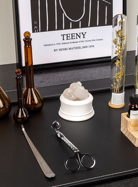 北欧样板间书房书桌装饰摆件植物标本香薰精油展示架化学试管主题