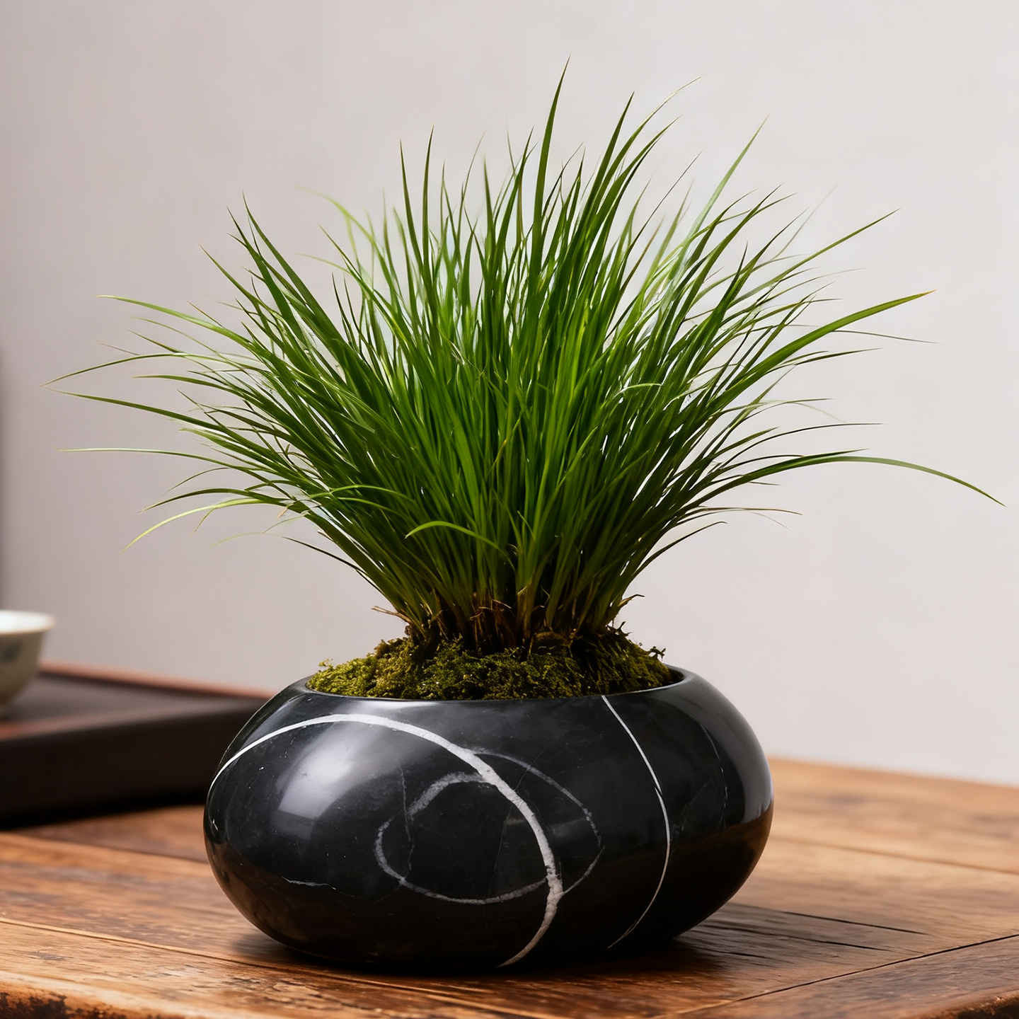 精品纯天然石头花盆鹅卵石盆多肉植物花瓶老桩盆石瓶水培创意插花,淘宝优惠券,粉丝福利购,淘宝优惠卷