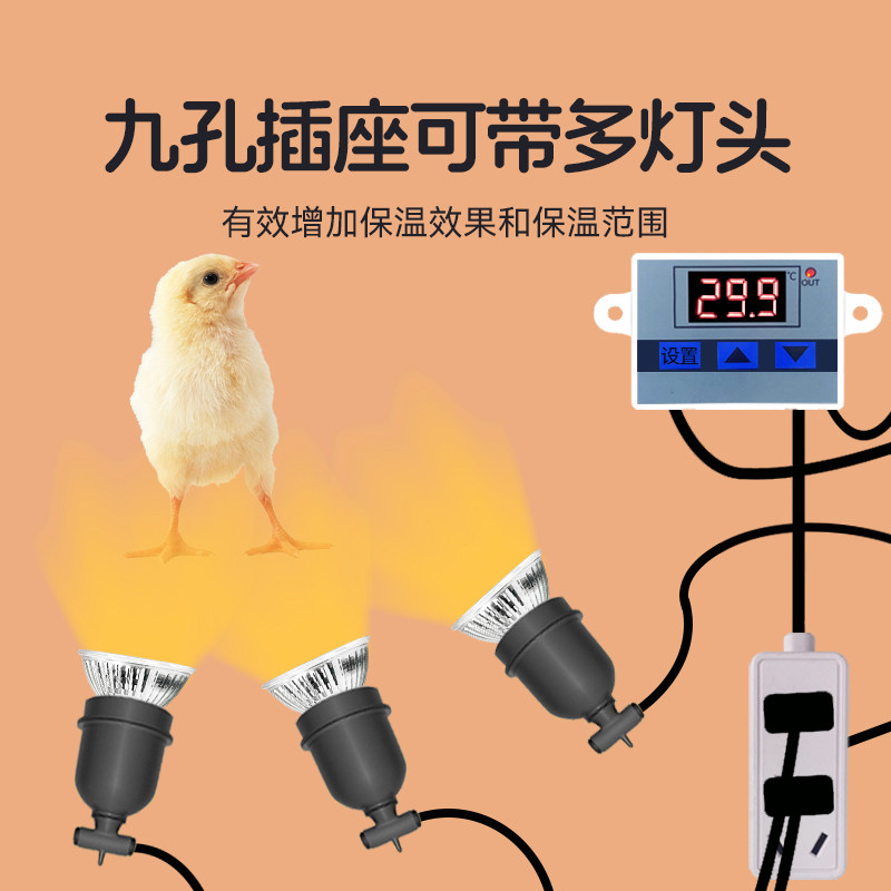 小鸡自动控温保温灯养殖饲养箱暖灯设备芦丁鸡育雏温控灯小太阳灯,淘宝优惠券,粉丝福利购,淘宝优惠卷