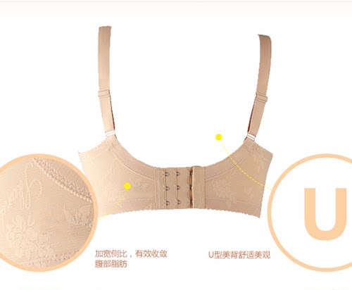 紫兰蒂5308全罩杯调整型聚拢收副乳文胸薄款三排扣包容性好 - 图2