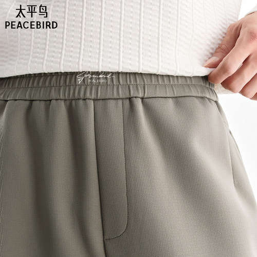 【商场同款】太平鸟男装休闲裤25秋季新款直筒卫裤潮 B1GF3439 - 图1