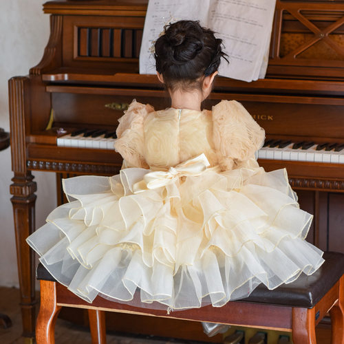 在逃公主女童玫瑰花小礼服冰雪奇缘艾莎裙子礼服儿童生日连衣裙 - 图1