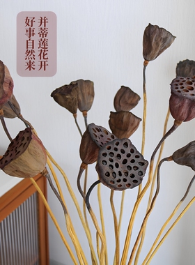 莲蓬真花干花侘寂风新中式禅意
