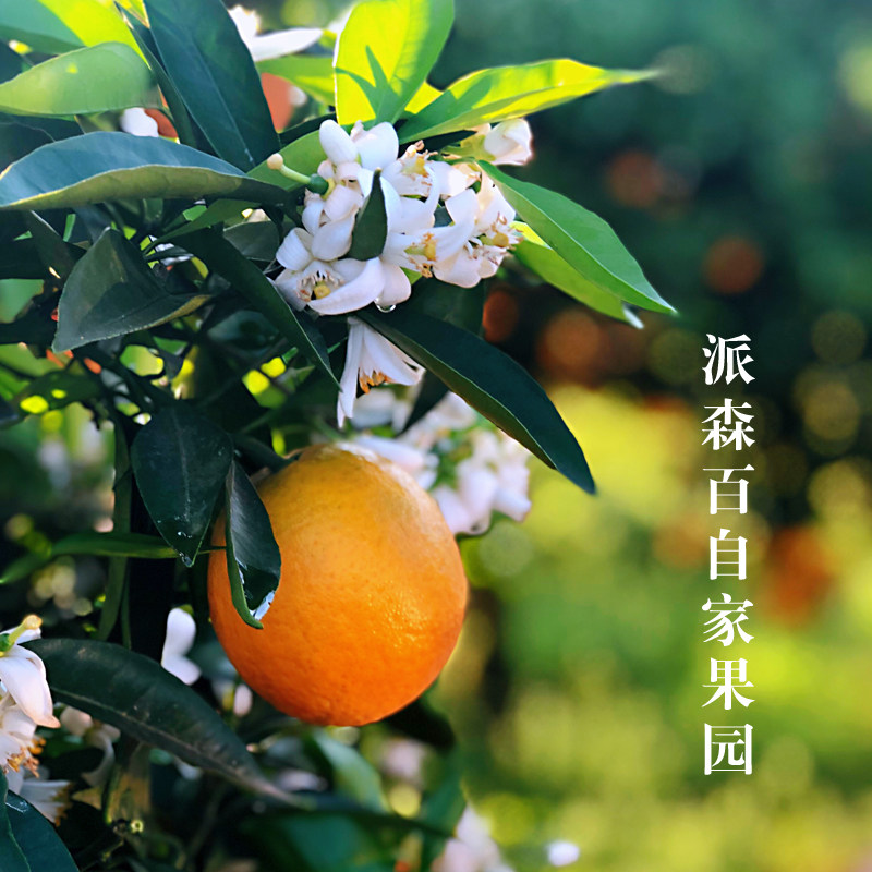 图 5